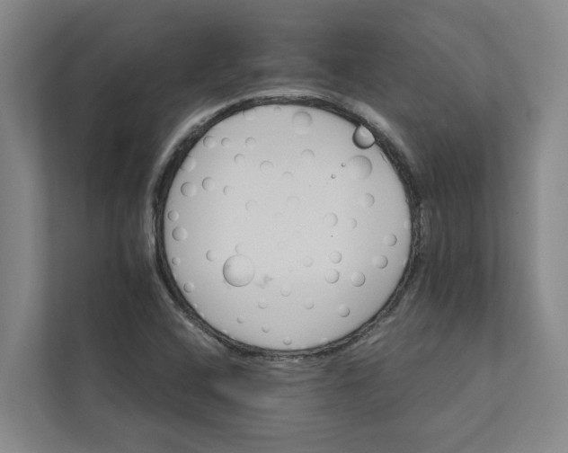 X0000111931408200908101132