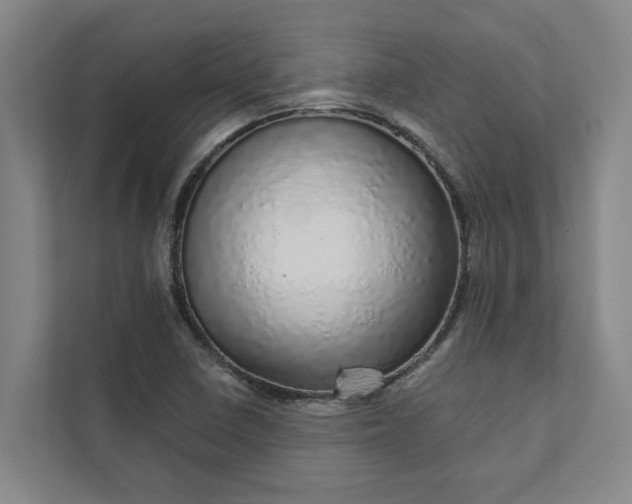 X0000111931410200908101132