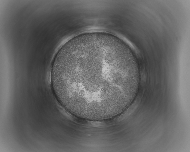 X0000111931413200908101133