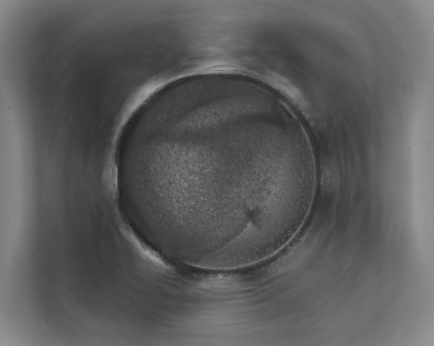 X0000111931414200908101133