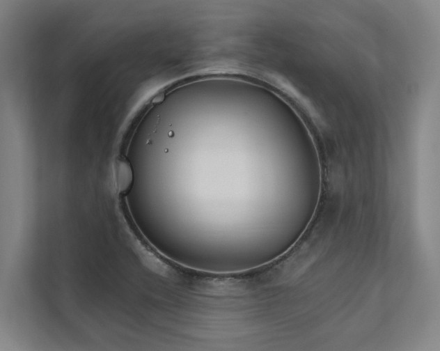 X0000111931416200908101133