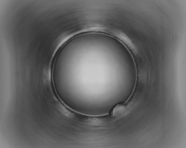 X0000111931420200908101133