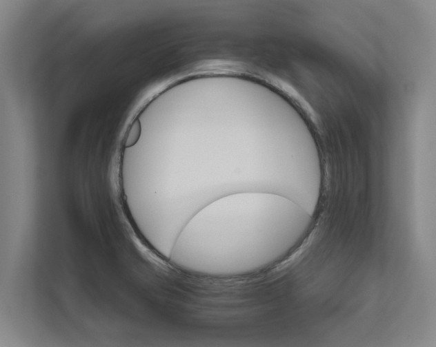 X0000111931421200908101133