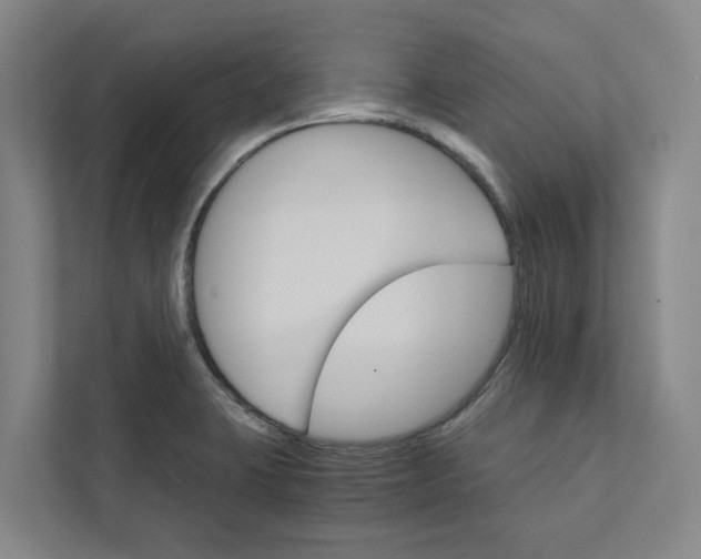 X0000111931423200908101133