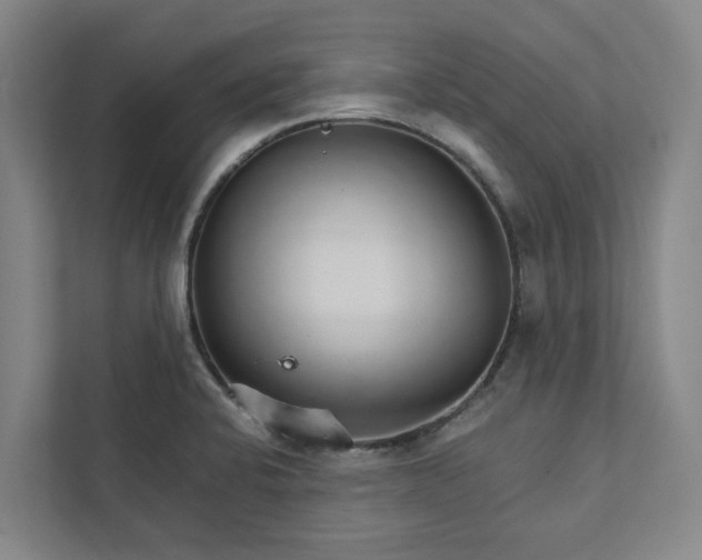 X0000111931424200908101133