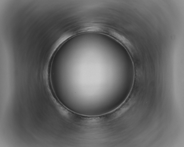 X0000111931426200908101133