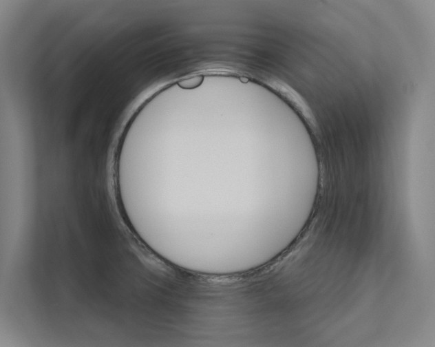 X0000111931427200908101133