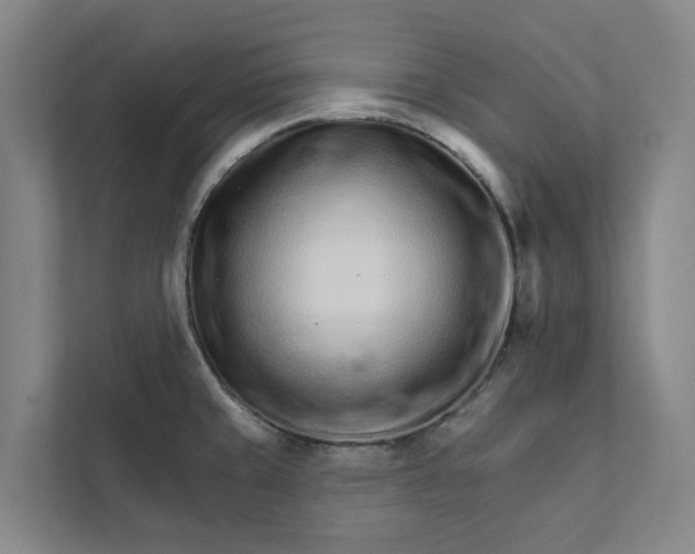 X0000111931429200908101133