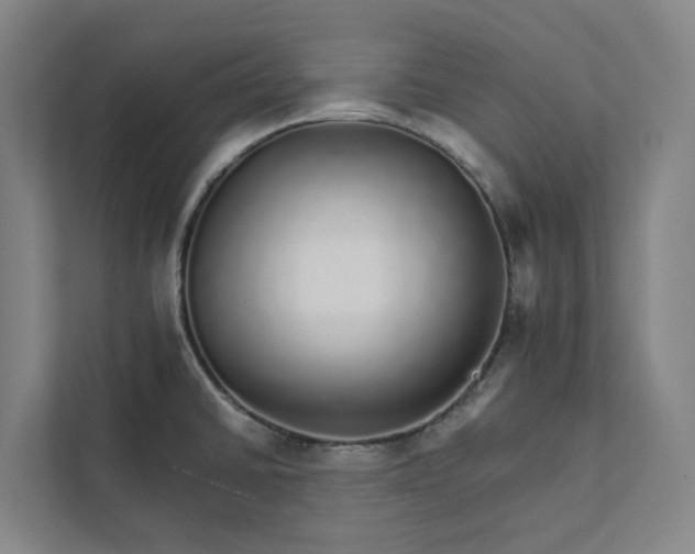 X0000111931430200908101133