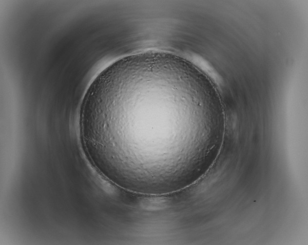 X0000111931431200908101133