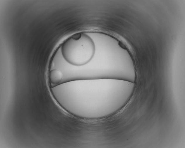 X0000111931432200908101133