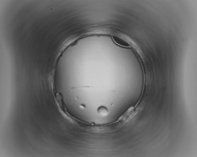 X0000111931433200908101133