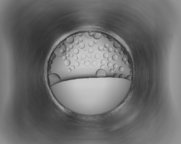 X0000111931437200908101133