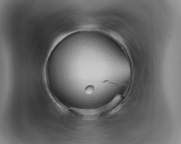 X0000111931440200908101133