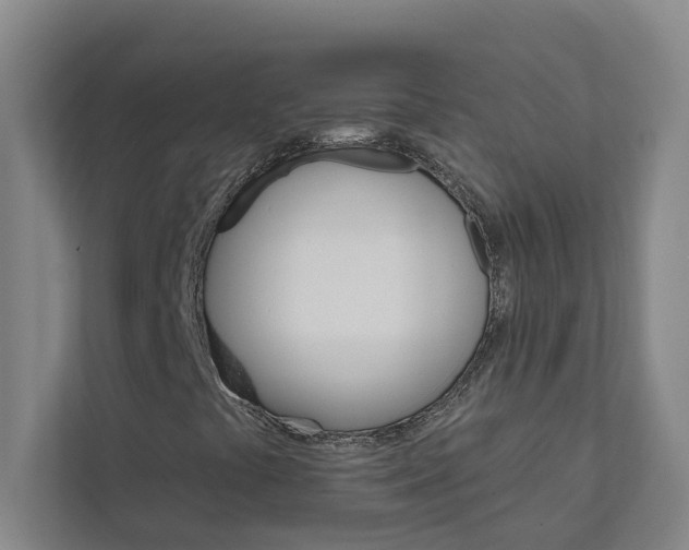 X0000111931441200908101132