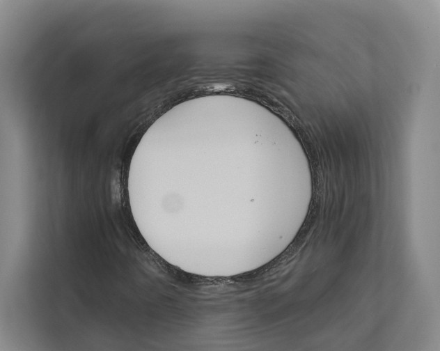 X0000111931442200908101132