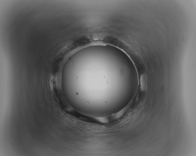 X0000111931443200908101132