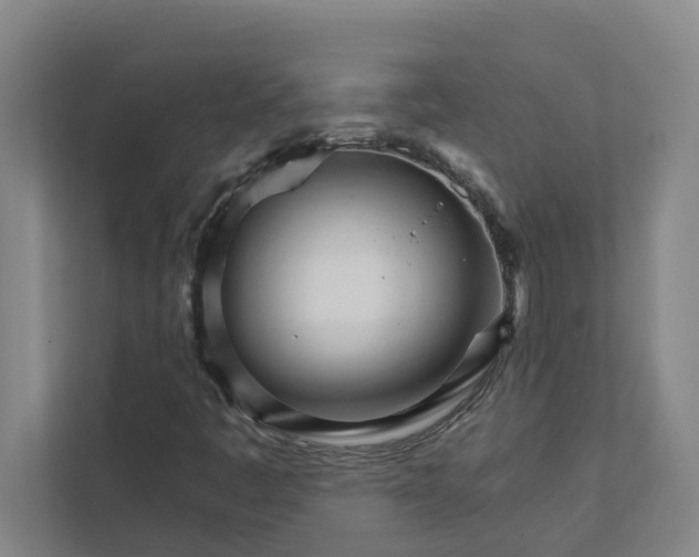 X0000111931445200908101132