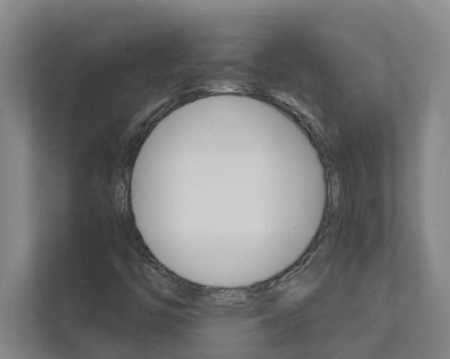 X0000111931446200908101132