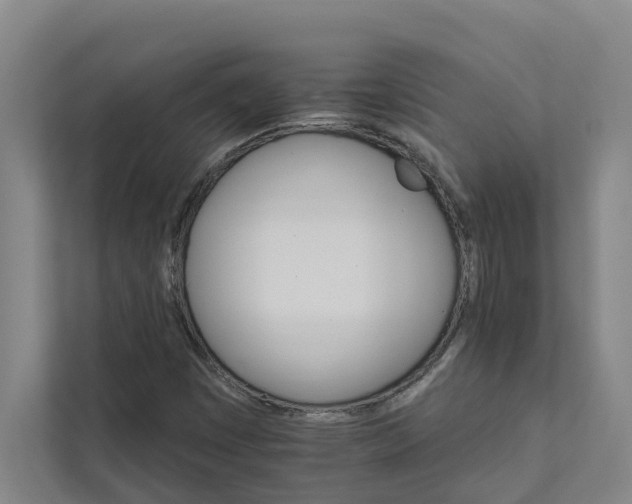 X0000111931449200908101132