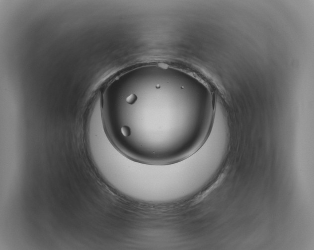 X0000111931453200908101132