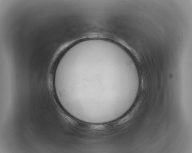 X0000111931454200908101132