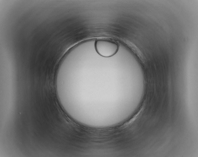 X0000111931457200908101132