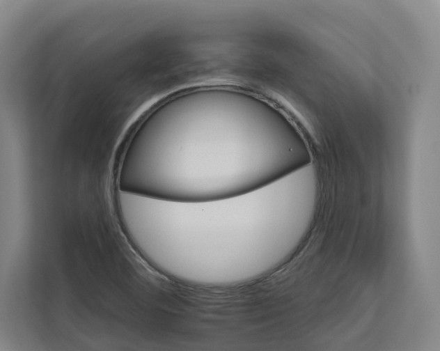 X0000111931460200908101132