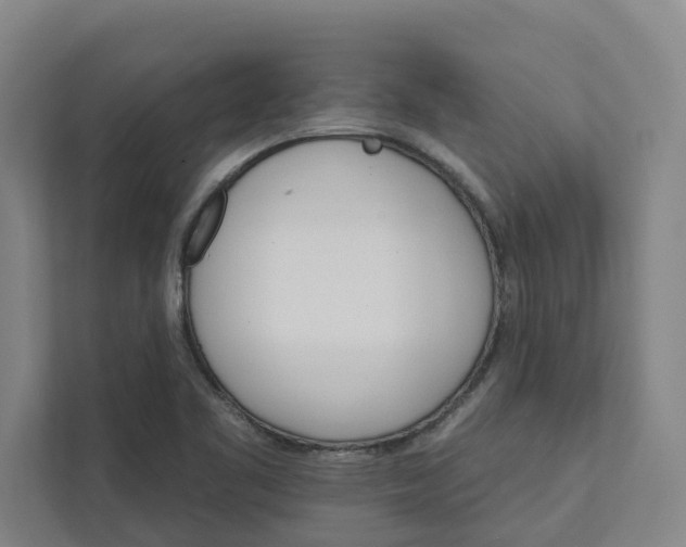 X0000111931461200908101132