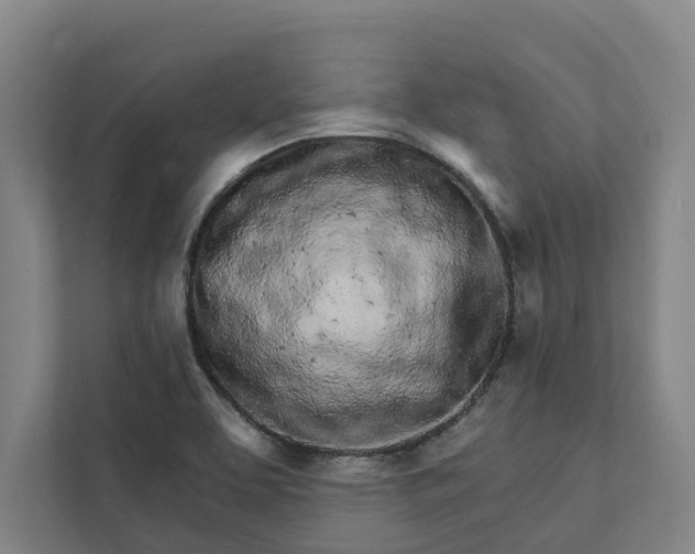 X0000111931463200908101132