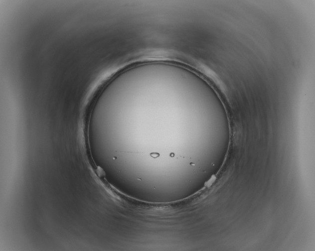 X0000111931464200908101132