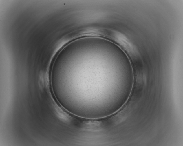 X0000111931466200908101132