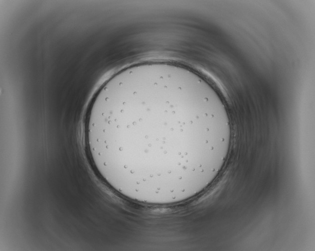 X0000111931467200908101132