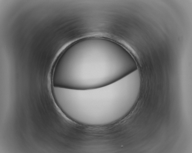 X0000111931468200908101132