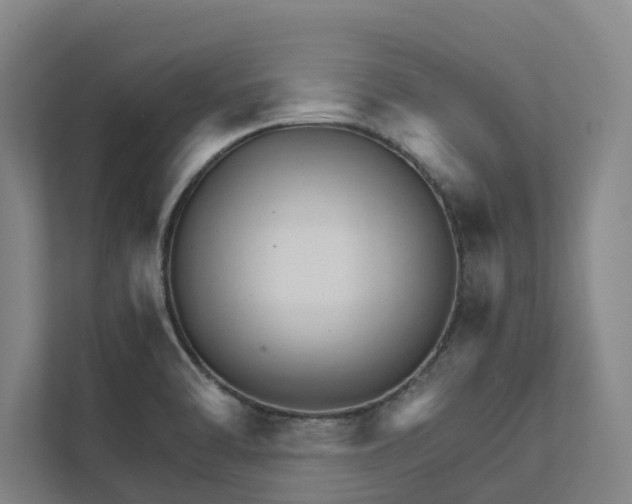 X0000111931470200908101132