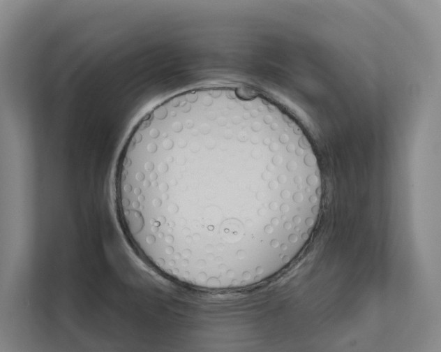 X0000111931471200908101132