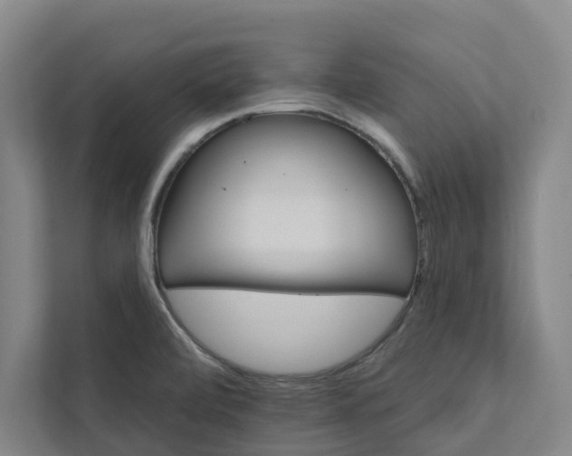 X0000111931472200908101132