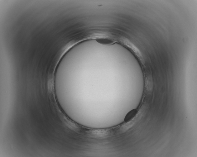 X0000111931473200908101132