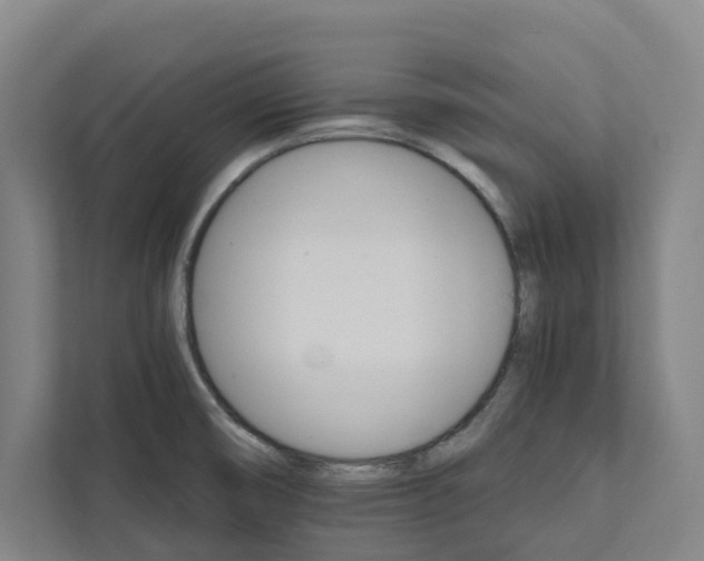 X0000111931474200908101132