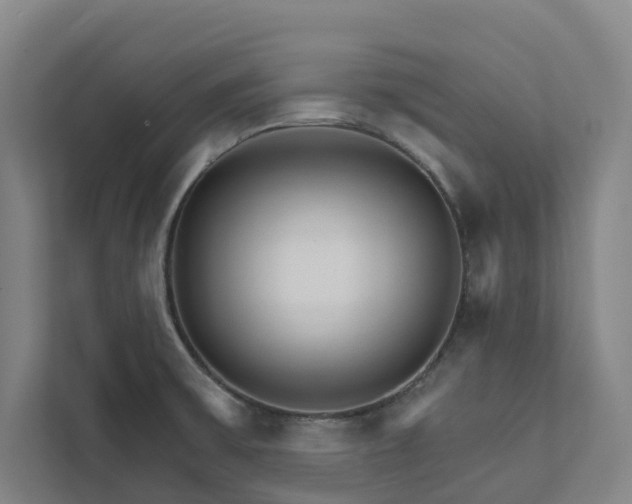 X0000111931475200908101132