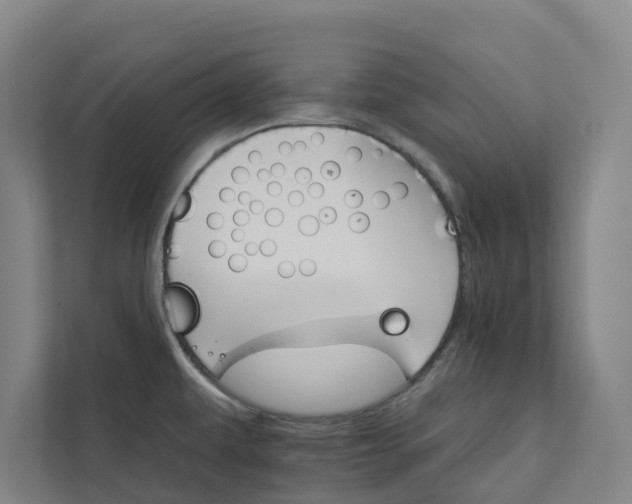 X0000111931479200908101132