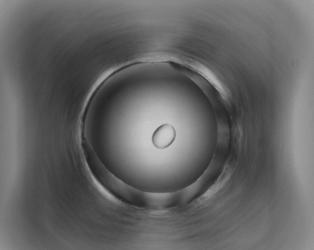 X0000111931484200908101132