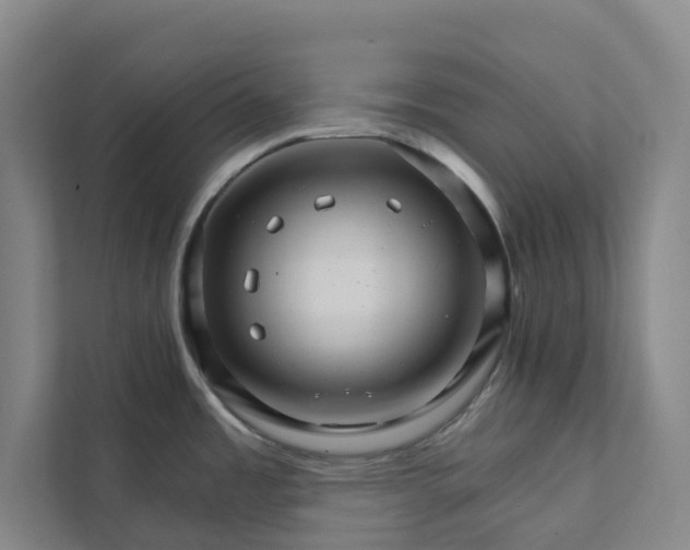 X0000111931485200908101132