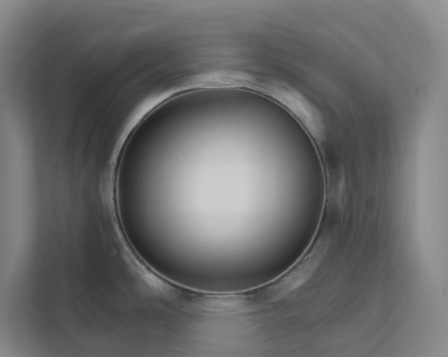 X0000111931486200908101132