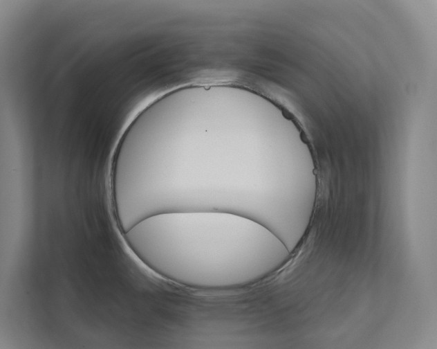 X0000111931487200908101132