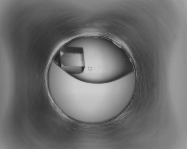 X0000111931488200908101132