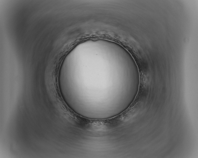 X0000111931489200908101131