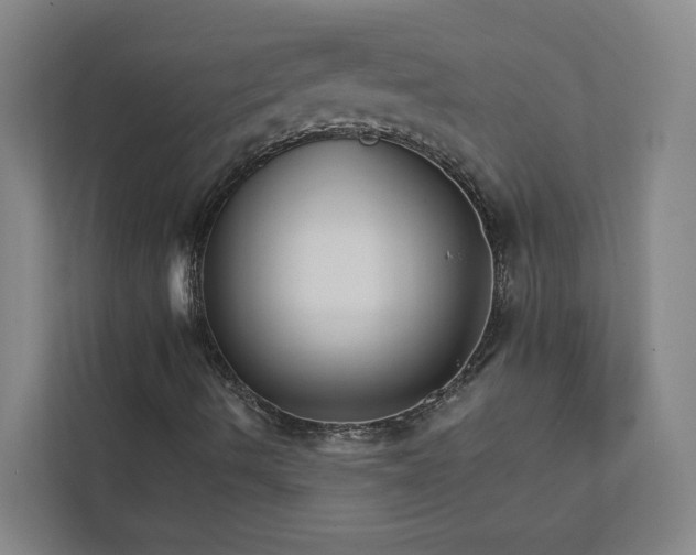 X0000111931490200908101131