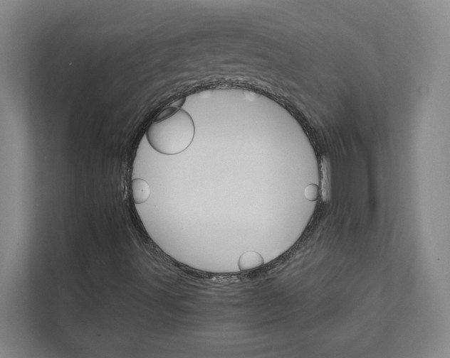 X0000111931491200908101131