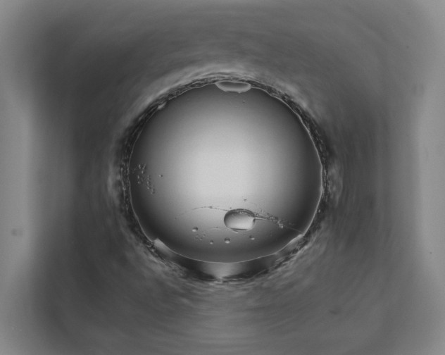 X0000111931496200908101131